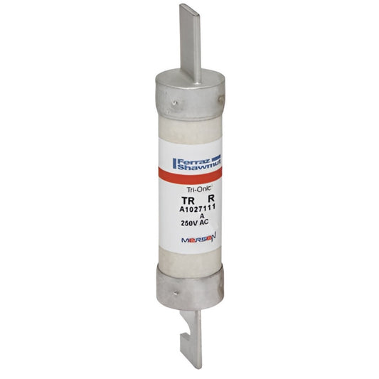 TR100R 250V 100 AMP Class RK5 Time Delay Fuse