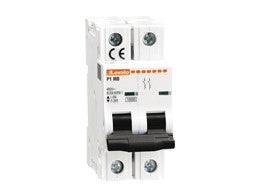 P1 MB 2P B06 Miniature Circuit Breaker, 2P - 10KA. 2 Modules, Characteristic B, 6A