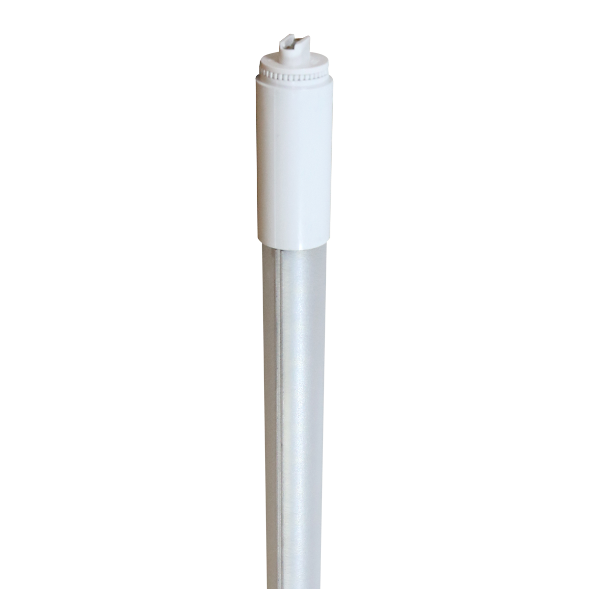 10483 LED30WT8//72/865-DS-G8 LED Sign Lamp Bypass/Line Voltage T8 6FT 30W-4200LM 6500K 80+CRI R17D